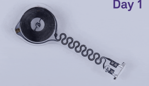 Watch the transient pacemaker harmlessly dissolve over time.
