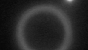 A microparticle passes an obstacle (ring in center) without becoming trapped.