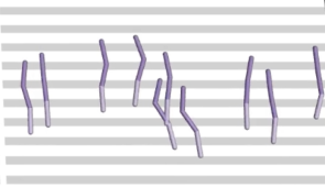 MaxDiff RL agents are capable of learning to solve tasks over the course of individual, continuous deployments, which the researchers call single-shot learning.This video illustrates the single-shot learning capabilities of MaxDiff RL.