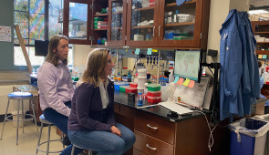 Northwestern anthropologist Sera Young and synthetic biologist Julius Lucks, scientists from Northwestern University have collaborated on the implementation of an accurate, low-cost and easy-to-use test for detecting toxic levels of fluoride in water.
The project builds upon and finds a unique intersection for prior research conducted by both Lucks and Young, who are married.