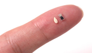 Tiny pacemaker on a fingertip, next to a sesame seed for scale.