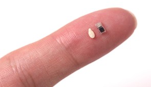 Tiny pacemaker on a fingertip, next to a sesame seed for scale.