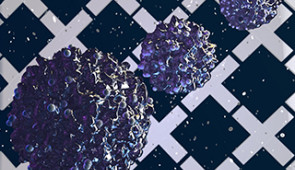 Graphic of tumor-infiltrating lymphocites, natural immune cells that invade tumors.
