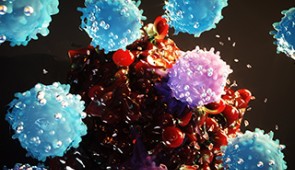 Tumor-infiltrating lymphocytes go after tumors by recognizing and then directly attacking each cell with a poisonous spray.