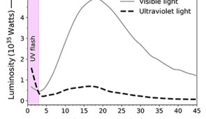 Evolution of the ultraviolet and visible light emitted from SN2019yvq. Most Type Ia SNe emit far more light in the visible region of the electromagnetic spectrum than in the ultraviolet. As shown here, SN 2019yvq exhibited a spectacular ultraviolet flash just after it exploded.

Credit: A. A. Miller/Northwestern University