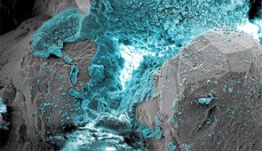 Microscopy image of natural cement.