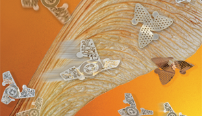 Human-made structures with their bio-inspiration: 3D microfliers with a propeller leaf. Credit: F. Frankel