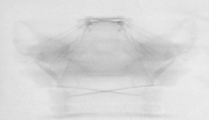 Side view of spinning drone on white background
