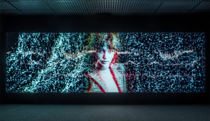 Dario Robleto, "The Boundary of Life is Quietly Crossed," 2019.
Two-channel 4K video, color, 5.1 surround sound installation; Running time: 51:00, looped. 
Installation stills and video stills courtesy of the artist.