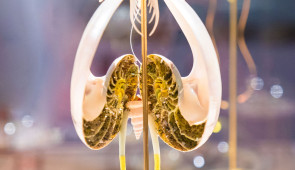 Dario Robleto, "Small Crafts on Sisyphean Seas," 2018.
Cut and polished nautilus shells, various cut and polished seashells, various urchin spines and teeth, mushroom coral, green and white tusks, squilla claws, butterfly wings, colored pigments and beads, colored crushed glass and glitter, dyed mica flakes, pearlescent paint, cut paper, acrylic domes, brass rods, colored mirrored Plexiglas, glue, maple. 75” x 71 1/2” x 43”.
Image courtesy of the artist.