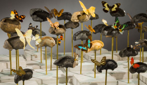 Dario Robleto, "American Seabed," 2014.
Fossilized prehistoric whale ear bones salvaged from the sea (1 to 10 million years), various butterflies, butterfly antennae made from stretched and pulled audiotape recordings of Bob Dylan’s “Desolation Row,” concrete, ocean water, pigments, coral, brass, steel, Plexiglas. 37 x 68 x 55 inches (overall without pedestal).
Image courtesy of the artist.