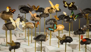 Dario Robleto, "American Seabed," 2014.
Fossilized prehistoric whale ear bones salvaged from the sea (1 to 10 million years), various butterflies, butterfly antennae made from stretched and pulled audiotape recordings of Bob Dylan’s “Desolation Row,” concrete, ocean water, pigments, coral, brass, steel, Plexiglas. 37 x 68 x 55 inches (overall without pedestal).
Image courtesy of the artist.