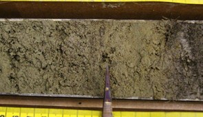 A section of sediment core material from Wax Lips Lake. Credit: Jamie McFarlin