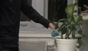 Someone waters a plant.
