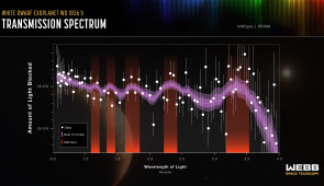 white dwarf spectrum