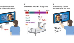 The three main stages of the experiment of Whitmore et al. (2022). First, participants learned 80 face-name associations. Next, they slept while EEG was monitored to determine sleep stage, and 20 of the spoken names were presented softly over background music during slow-wave sleep. Finally, memory testing showed superior memory due to memory reactivation during sleep, but only when sleep was undisturbed by sound presentations.
 
