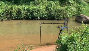 Field site in Tumprop, India. The researchers collected video data a forested stream with a sandy substrate and low-to-medium flow.