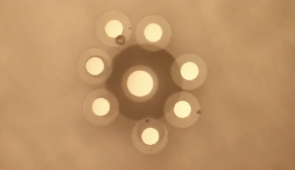 Periodicity retained in a heterogeneous system of eight particles, stabilized by asymmetry-induced order
