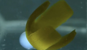 Spinning "break dance" to release sticky object.