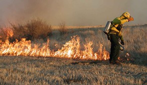 Trained firefighter lights a prescribed prairie fire. Credit: The Nature Conservancy