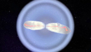 Jet (in red) wobbles inside the collapsar before punching out into the photosphere.