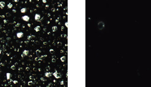 Although the coated glass (on the right) captures more aerosol droplets and retains more solid residues, it remains haze-free and transparent, compared to the uncoated glass (left).