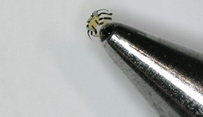 Tiny robotic crab sits on the tip of a ball-point pen.