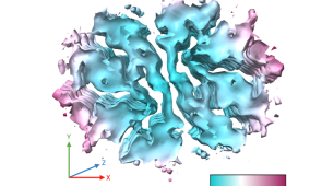 EM map of the fibril viewed fdown the axis of the fibril.