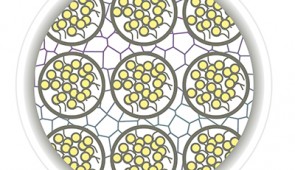 Disorderly chromatin in a cell's nucleus