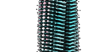 EM map of the fibril viewed from the side.