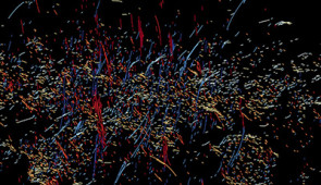 MeerKAT image of the galactic center with color-coded position angles of all filaments.