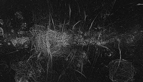 A mosaic image (without labels) with the background removed to isolate the magnetic filaments. The magnetic filaments are large, vertical slashes throughout the image.
