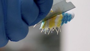 A researcher removes bristles from a toothbrush for testing.