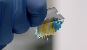 A researcher removes bristles from a toothbrush for testing.