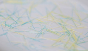 Detached toothbrush bristles