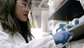 Mia Tran, an undergraduate researcher in Erica Hartmann's laboratory