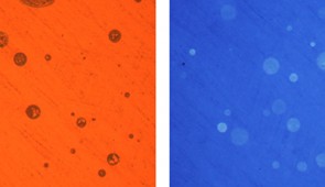 Optical microscopy image (left) in reflectance mode shows drying marks of all droplets collected on a polyaniline film, but only those modified by acid (right) are visible under transmission mode as they change the color of the underlying polyaniline film from blue to green. Scale bar: 200 microns.
