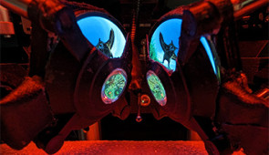 A view through the new miniature VR goggles. Credit: Dom Pinke