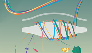 Single molecules of proteins or virus-like particles rotating around the commercially available Orbitrap analyzer to determine their exact mass.