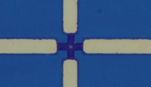 An optical image of the device structure with 4 micrometer pillar diameter.