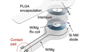 Layered schematic of the device, with annotation