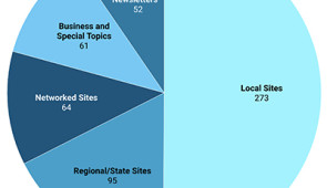 Pie chart showing the local and state digital ecosystem.