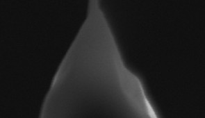 A scanning electron microscopy image of the tip of a zircon crystal. Credit: Jennika Greer