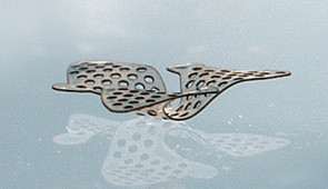 Microflier