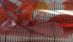 Sample of new material: lithium-indium-phosphorous-selenium, which is layered in structure and enriched with the lithium-6 isotope.