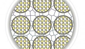 Orderly chromatin in a cell's nucleus