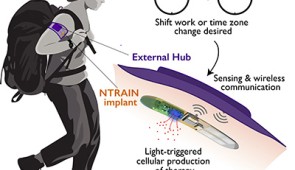  In this artistic illustration, a user with an NTRAIN implant and its accompanying external hub works in the field. The user inputs a desired time shift (due to shift work or travel across time zones). Based on cues from the body’s physiology, the external hub detects the user’s circadian rhythm, and triggers the implant to produce precisely-dosed peptide therapies.
