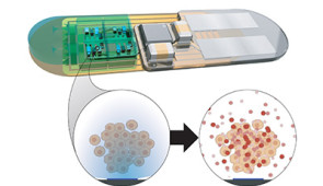 A close-up of the NTRAIN implant shows its internal cellular factories, which, when activated by light, produce precisely-dosed peptide therapies. The device keeps the cellular factories tightly enclosed, only allowing the therapies to diffuse into the body.