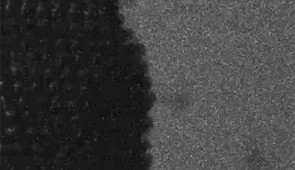 Liquid-phase TEM videos of layer-by-layer growth of crystals with smooth surfaces from gold nanocubes.
