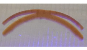 “Hybrid bonding polymer” object crawls on a surface driven by alternating periods of light exposure and darkness (magnification bar=5mm).